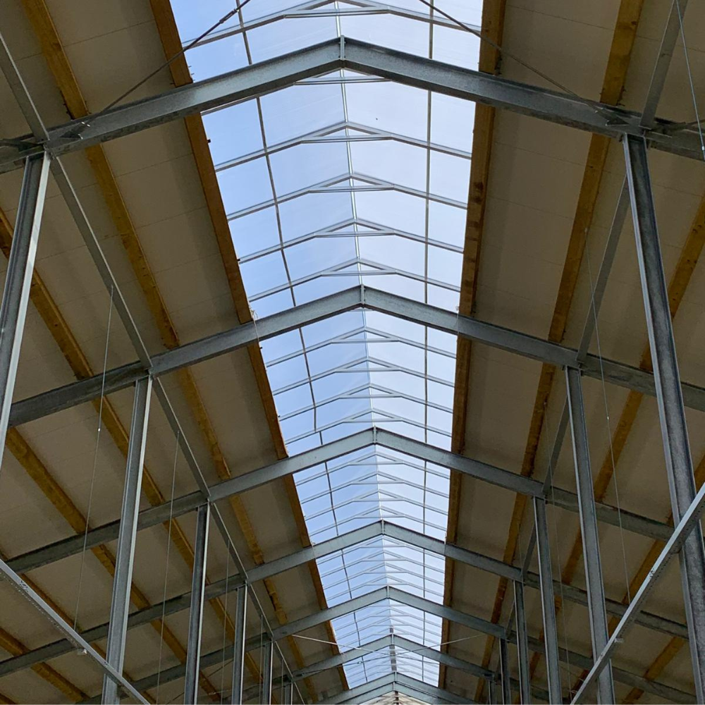 Jumta kore ISO Lighting Ridge M4